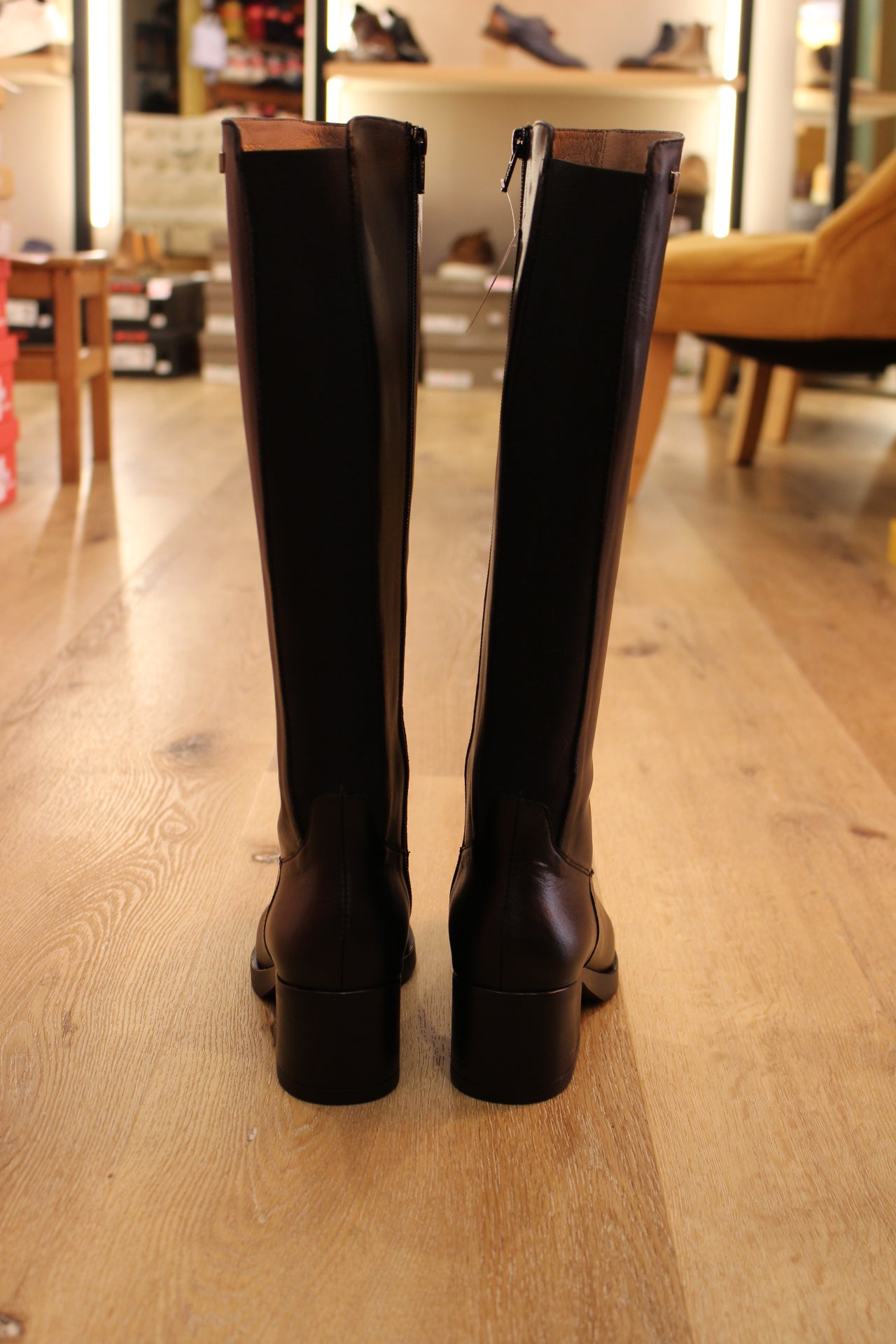 Bottes cavalières en curi noir WONDERS