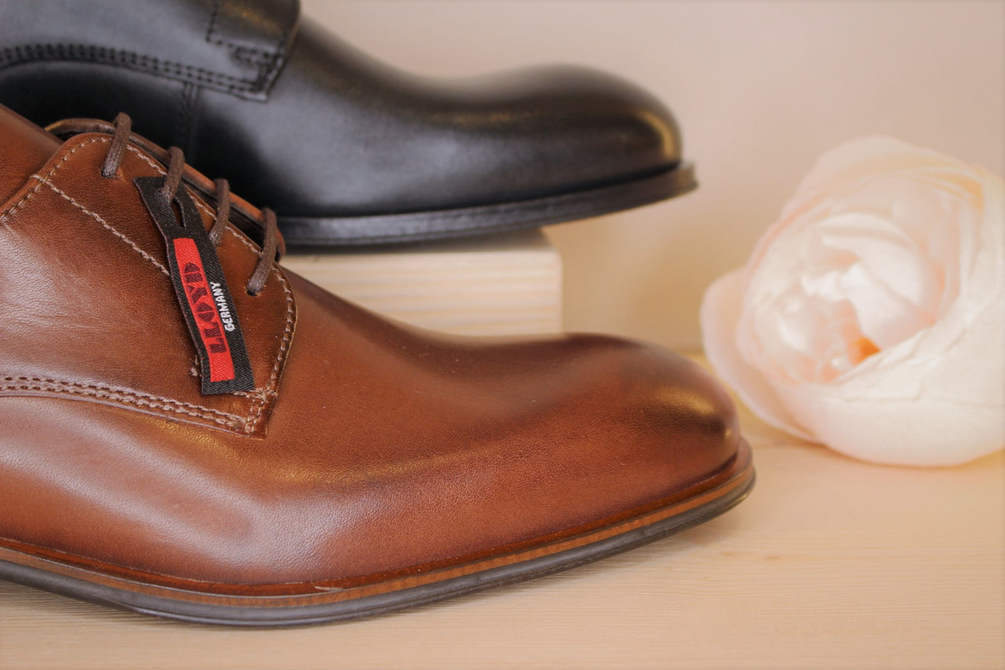 Chaussures habillées cuir noir ou cigare semelle gomme LLOYD