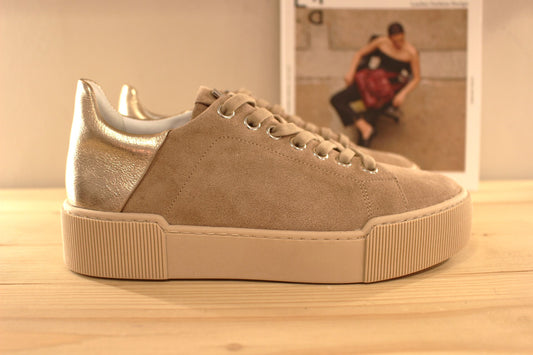 Chaussures HOGL -103602. Fabrication Autrichienne. Basket en cuir velours de couleur taupe rosé. Arrière mélatisé platine. Serrage lacet élastiqué ton sur ton.