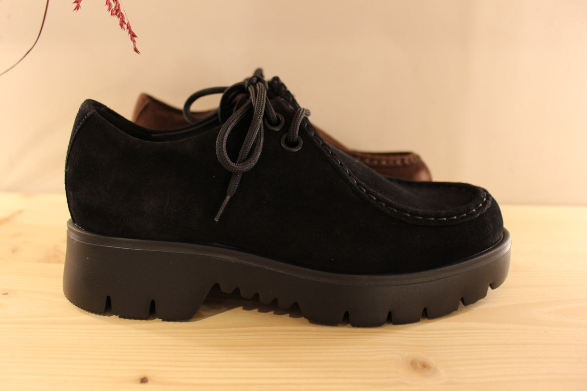 Derby HÖGL en cuir velours de couleur noir ou chocolat. Serrage lacet coton noir. Chaussures doublées cuir