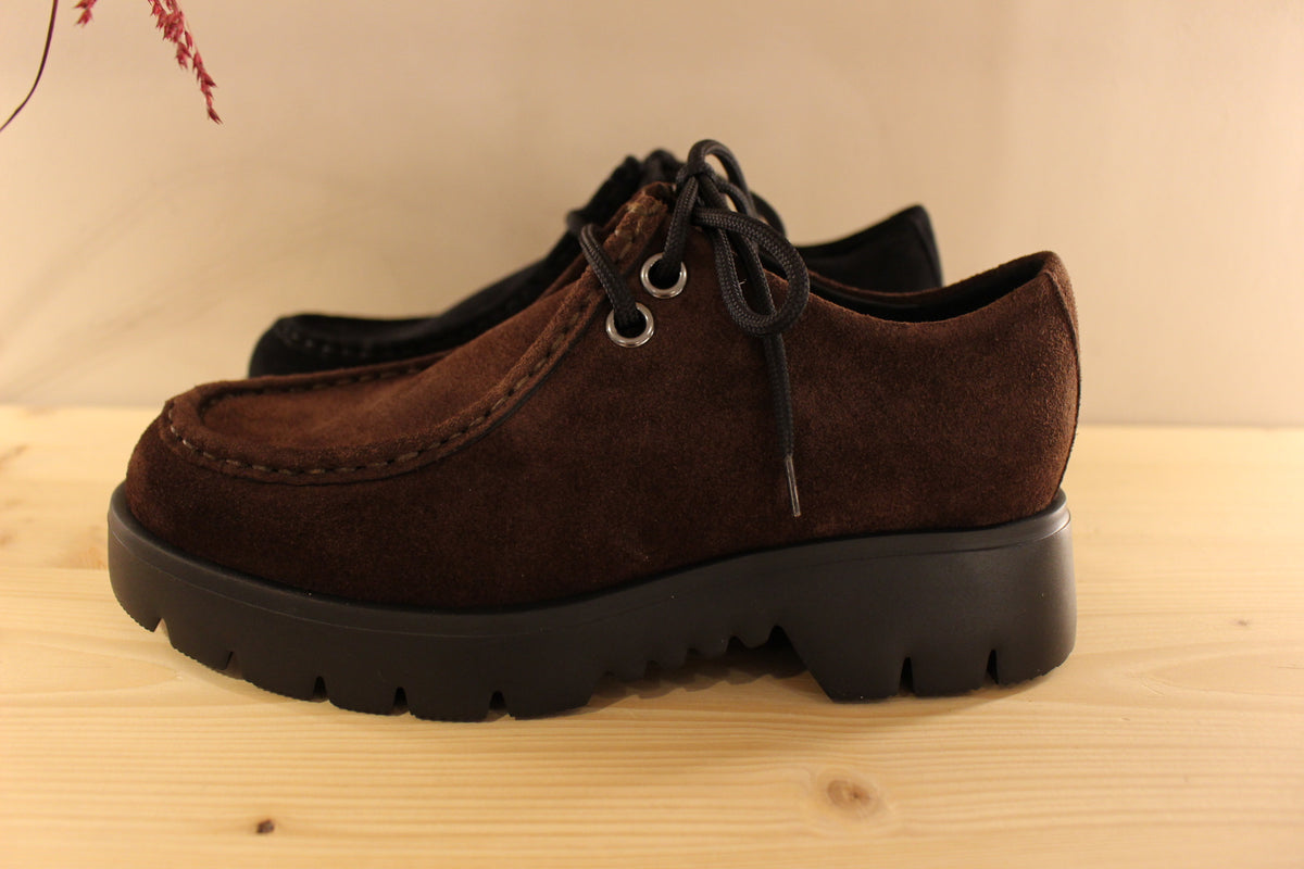 Derby HÖGL en cuir velours de couleur noir ou chocolat. Serrage lacet coton noir. Chaussures doublées cuir