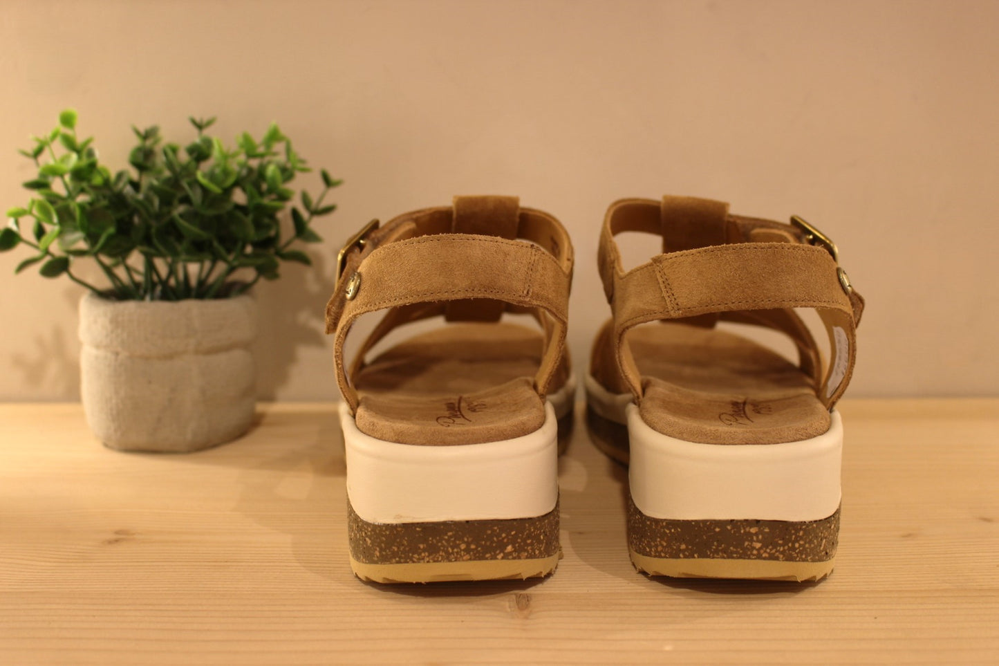 Sandale Panama Jack en cuir velours de couleur beige. Serrage par boucle sur bride coup de pied