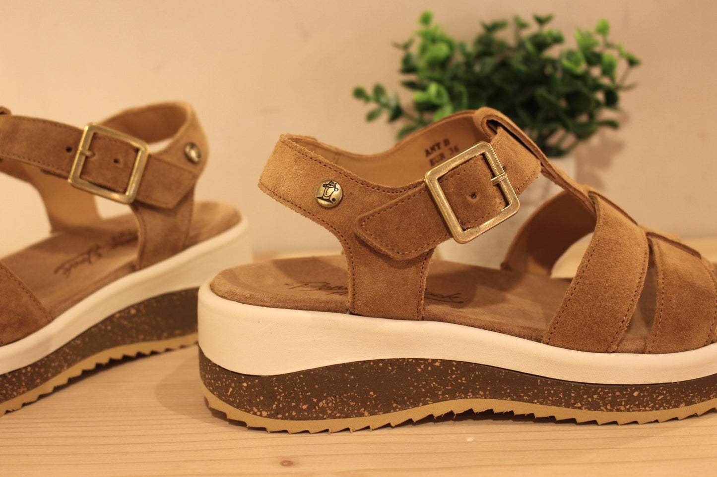 Sandale Panama Jack en cuir velours de couleur beige. Serrage par boucle sur bride coup de pied