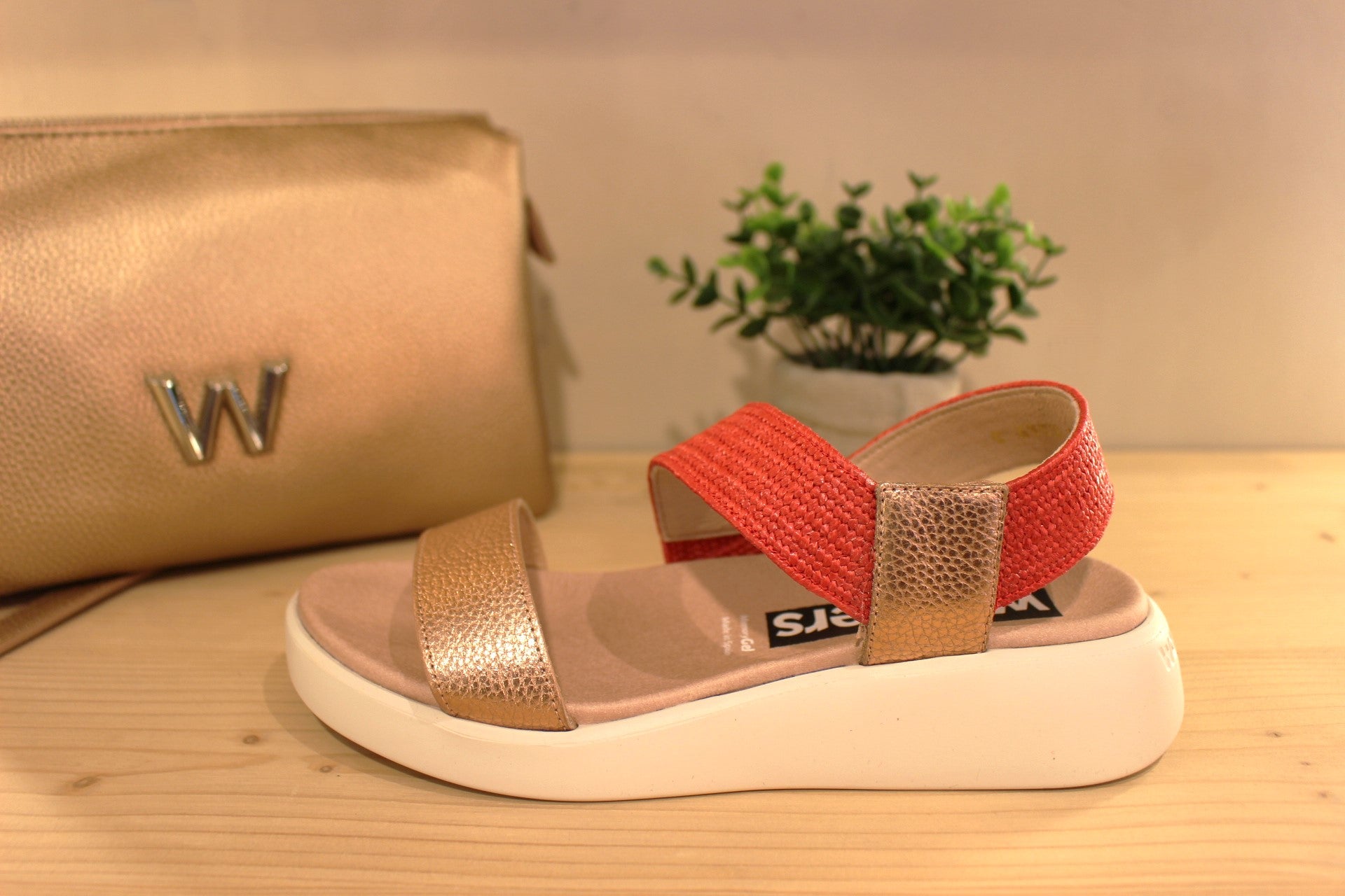 Sandale WONDERS en cuir grainé métallisé plomb, platine ou rosé. Chaussures doublées cuir. Maintien coup de pied sur bride rafia coloré.