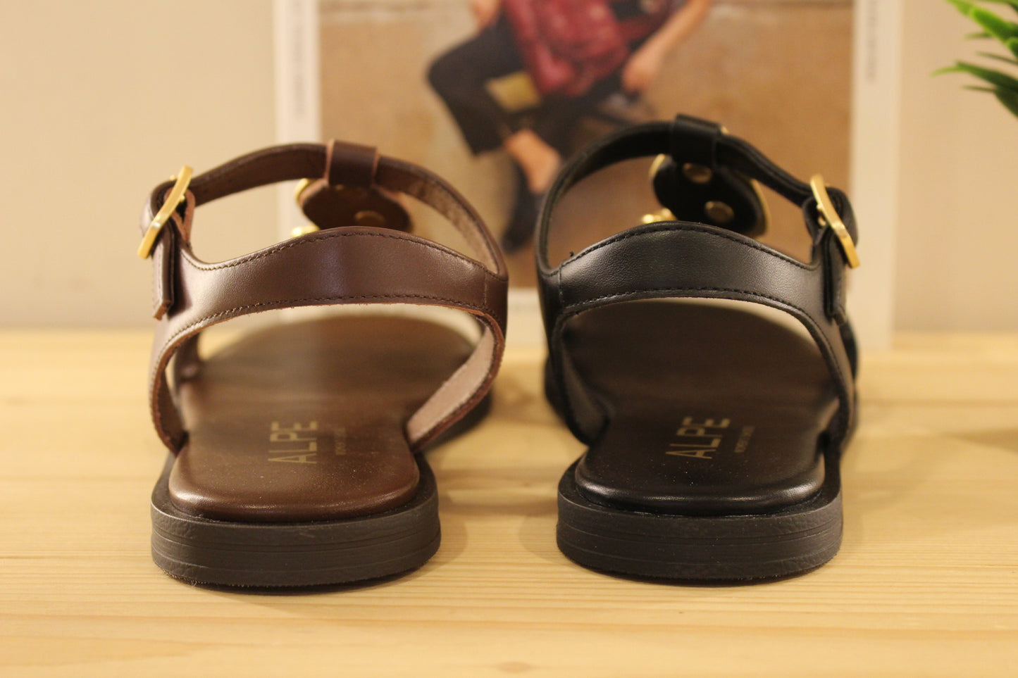 Chaussure ALPE - 5594. Marque espagnole. Sandales en cuir de couleur noir ou chocolat. Habillage bijoux sur le salomé de couleur or et fond ton sur ton pour la couleur noire et cuivre pour la couleur chocolat. Serrage par boucle sur bride coup de pied.