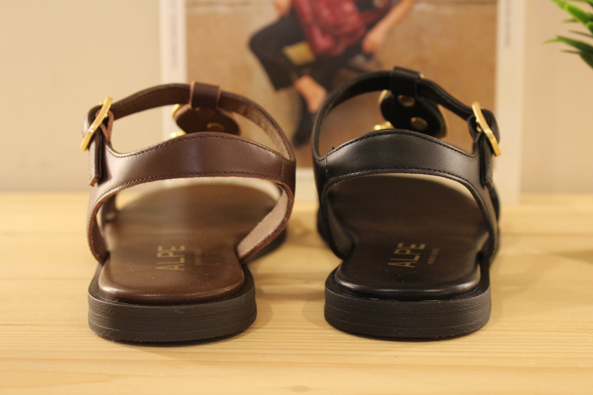 Chaussure ALPE - 5594. Marque espagnole. Sandales en cuir de couleur noir ou chocolat. Habillage bijoux sur le salomé de couleur or et fond ton sur ton pour la couleur noire et cuivre pour la couleur chocolat. Serrage par boucle sur bride coup de pied.