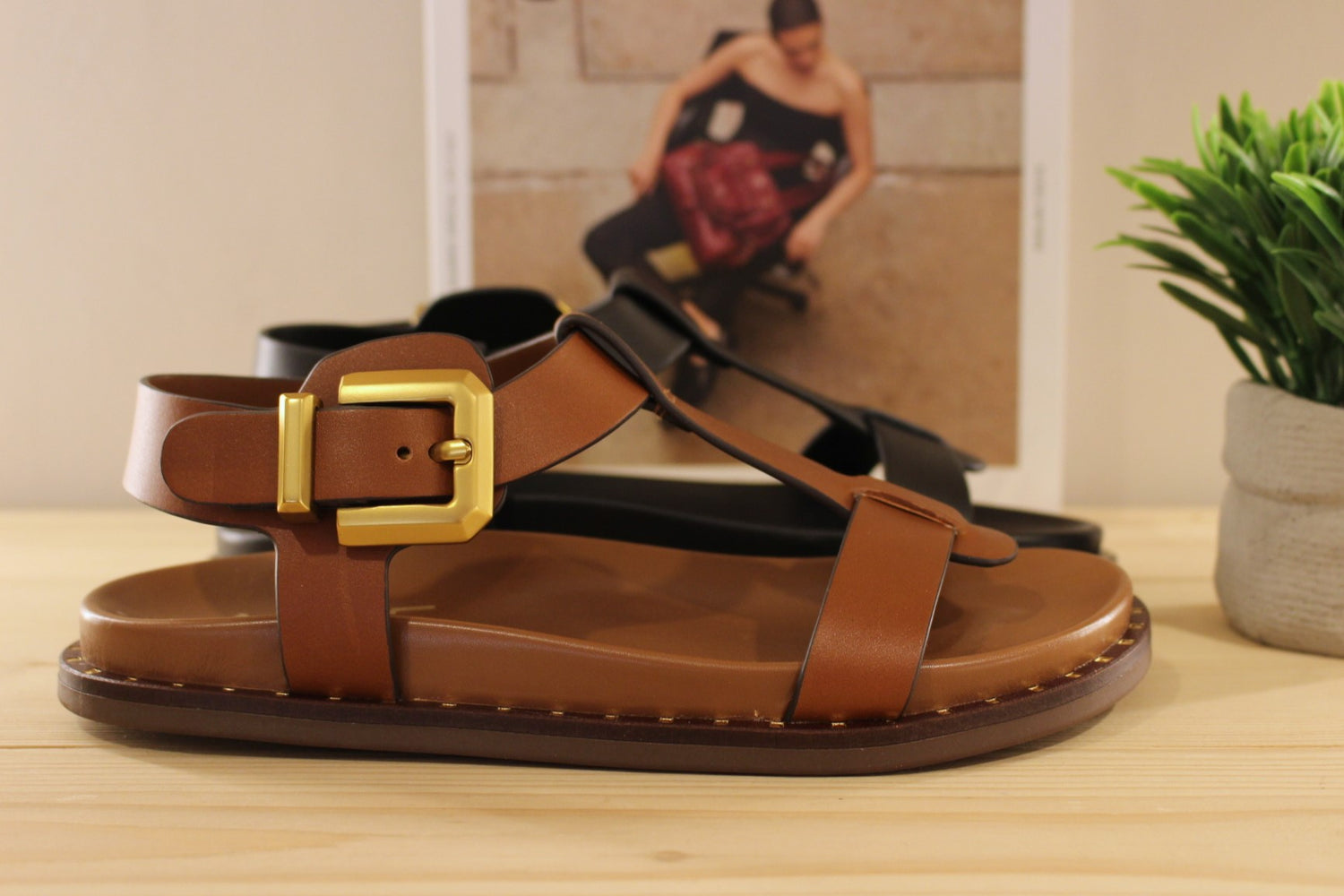 Sandales ALPE en cuir de couleur chocolat ou de couleur noir. Serrage par boucle sur bride coup de pied. 