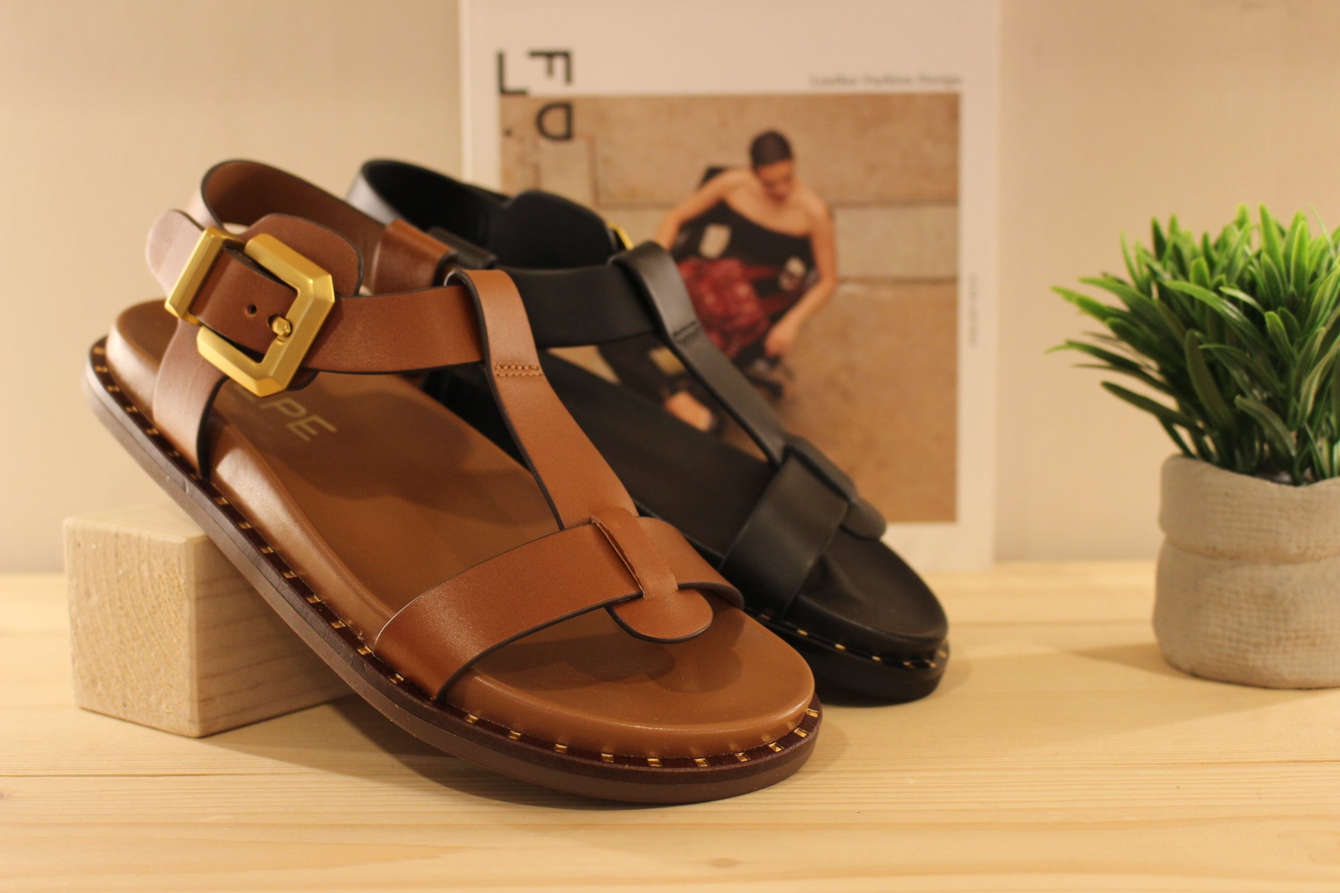 Sandales ALPE en cuir de couleur chocolat ou de couleur noir. Serrage par boucle sur bride coup de pied. 