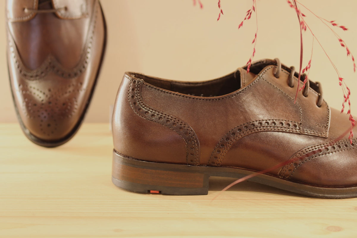 Derby Lloyd en cuir de couleur marron foncé et motifs perforés sur l'avant du pied