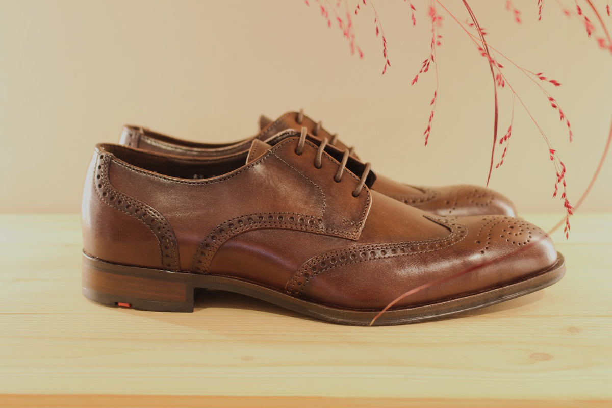 Derby Lloyd en cuir de couleur marron foncé et motifs perforés sur l'avant du pied