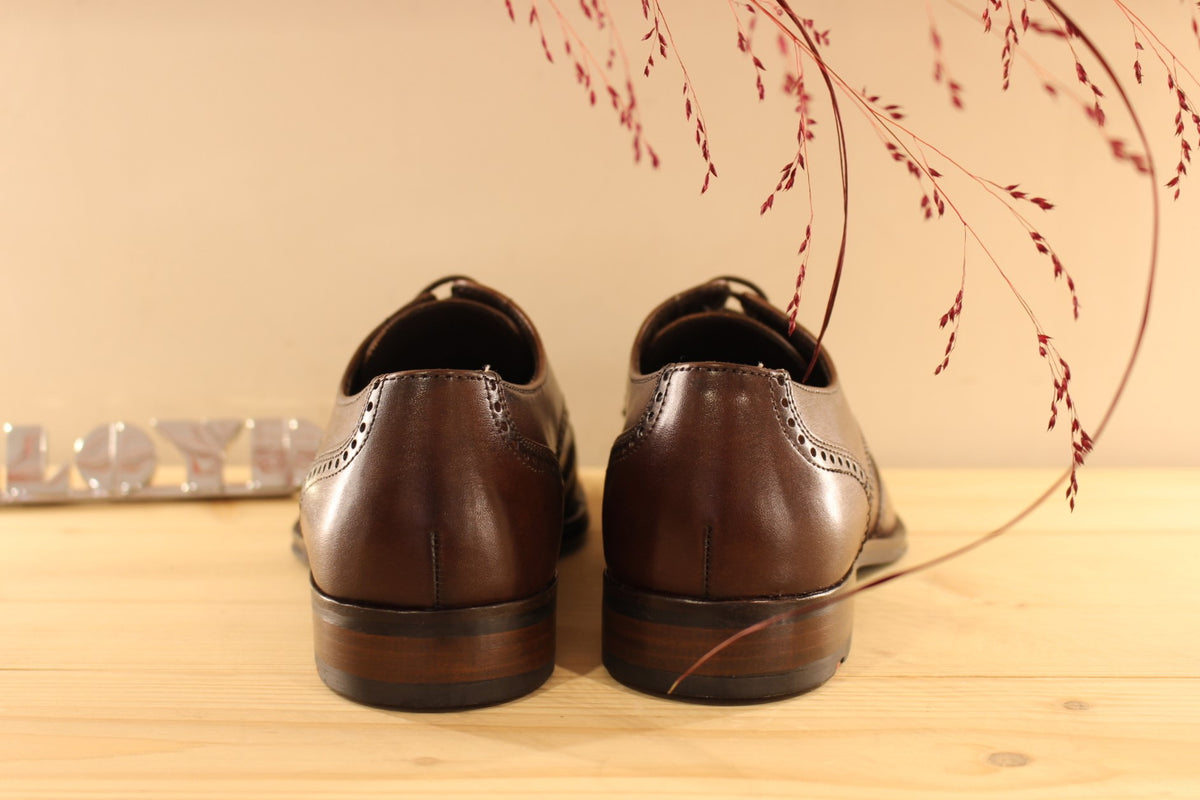Derby Lloyd en cuir de couleur marron foncé et motifs perforés sur l'avant du pied