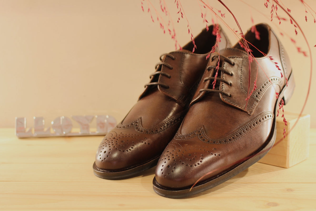 Derby Lloyd en cuir de couleur marron foncé et motifs perforés sur l'avant du pied