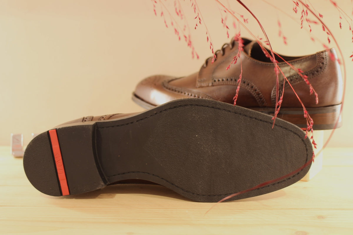 Derby Lloyd en cuir de couleur marron foncé et motifs perforés sur l'avant du pied