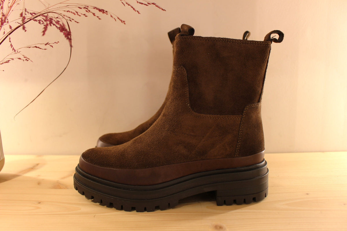 Bottines REQINS en cuir velours de couleur chocolat. Bande de cuir lisse sur le pourtour de la chaussure. Zip du côté interne
