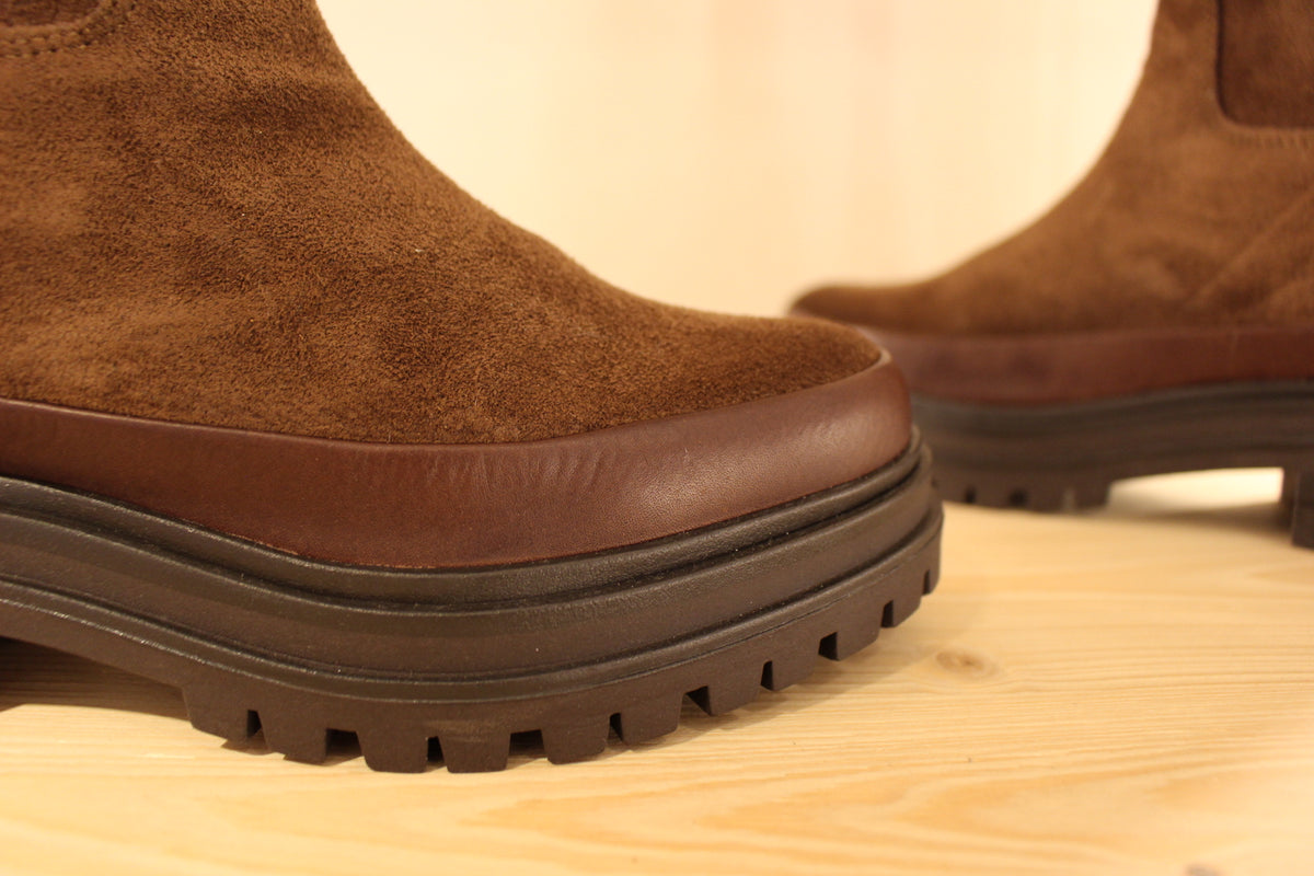 Bottines REQINS en cuir velours de couleur chocolat. Bande de cuir lisse sur le pourtour de la chaussure. Zip du côté interne