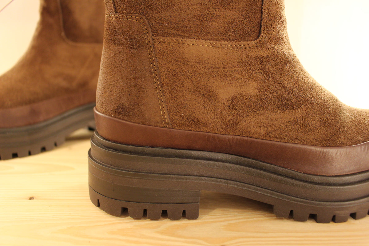 Bottines REQINS en cuir velours de couleur chocolat. Bande de cuir lisse sur le pourtour de la chaussure. Zip du côté interne